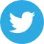 Share on twitter